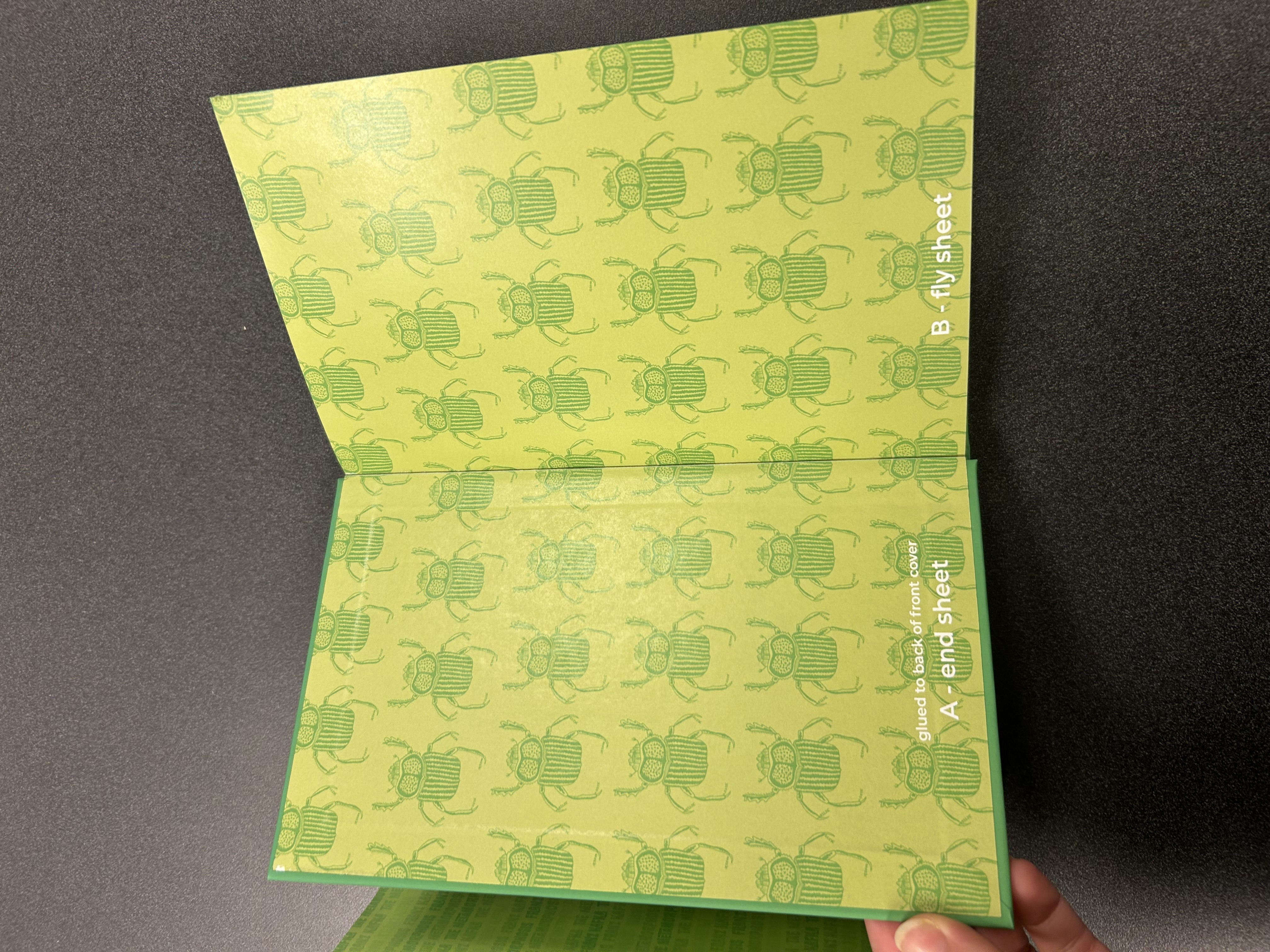 Green printed end sheets