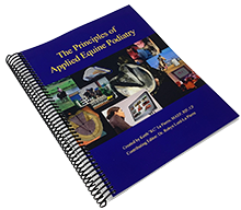 Custom Training Manual