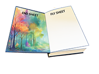 Printed Endsheets and Blank Flysheets